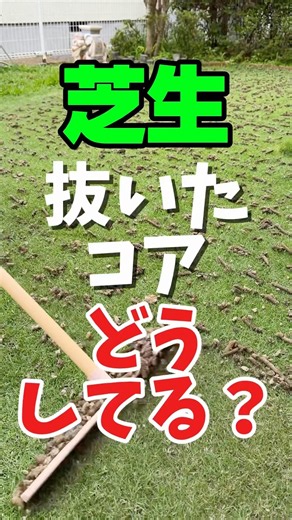 What do you do with lawn aeration plugs? Why the rainy season is the perfect time to reuse them f...