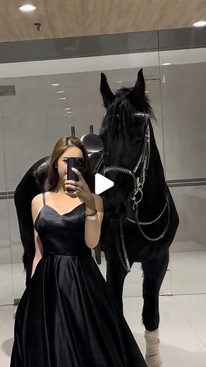 陶明秀 on Instagram: "我想看看你们的宠物🖤#horsevideo #horseriding #horses #horse"