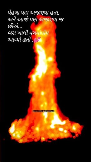 PARUL RATHAVA NEW TIMLI || gujaratiloveshayari || #timlisong #viral