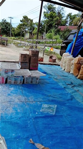 menyala kulit #fyp #CapCut #masukberanda @semlasem17 @gilanng705