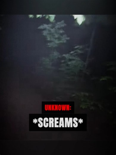 The Woods At Night Are Not Safe... #scary #haunted #scarytiktoks #paranormal #thefaceofhorror