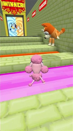 Coco And Bingo PLAY A DUO MINECRAFT RUN TOGETHER! 24 😃💙🤡 #shorts #minecraft #roblox