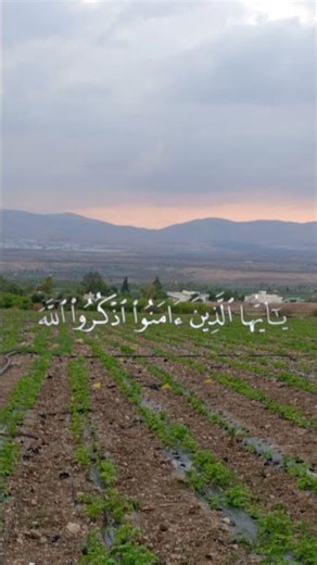 قران كريم # تابعني احط لايك بالله عليكم