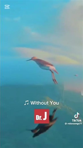 ♫ Without You#The Rebellions #Relax Music #EditionByDrJ @doctorjedition