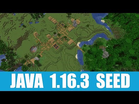 Minecraft Java 1.16.3 Seed: Village with blacksmith at spawn stands next to three jungle temples