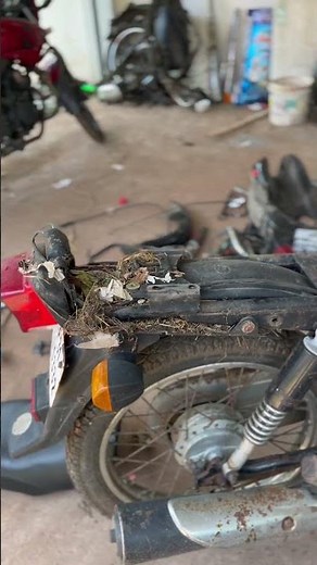 Splendor restoration | splendor modified Kerala | hero honda splendor modified #automobile #honda