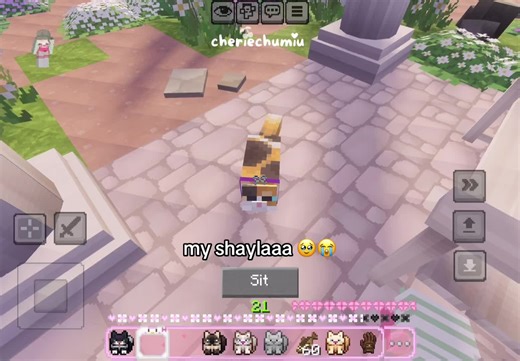 chubby cats that you can pick up in minecraft! 🙀🐟🐾💕 addon: slice of life lite #Minecraft #minecraftpe #minecraftbedrock #minecrafttutorial #addons