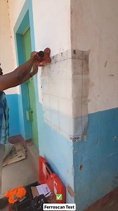 3.8K views · 14 reactions | Ferroscan or Electromagnetic...