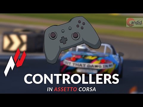 How to setup controller in Assetto Corsa?