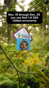 11 reactions | ✨ The hunt is on! Hidden ornaments are waiting for...