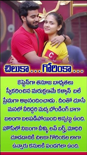 BIGG BOSS DAILY UPDATES / THANUJA / KALYAN