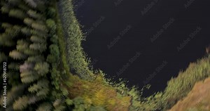 Bird's eye view of a lake in summer. Drone shot