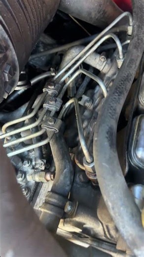 Cleaning the governor of Diesel of a 226B caterpillar engine #skidsteer