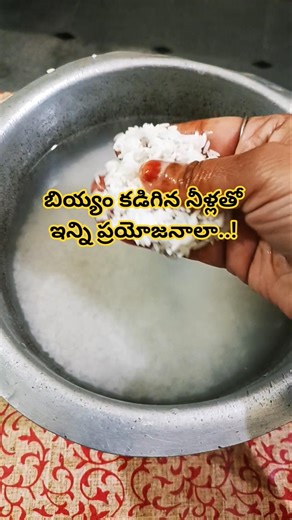 So many benefits of rice washing water..! #trending #food #cooking #ai #reels #rice #southfood