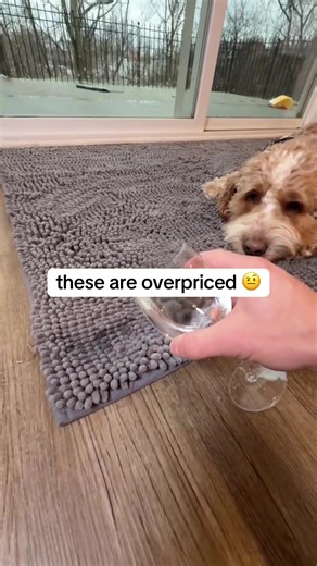 Essential Doormats for Every Door in Your Home