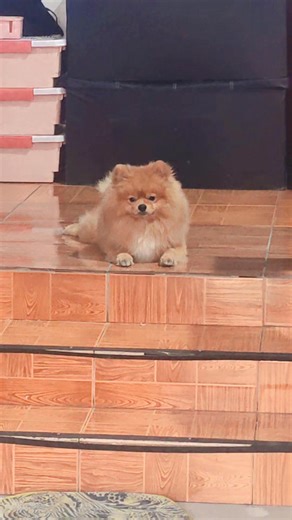 1.4K views · 43 reactions | Doc Nicer on Reels | Facebook