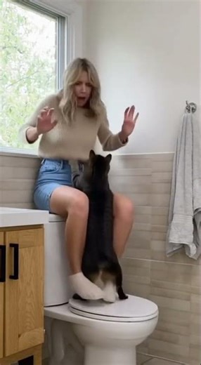 Cat Jumps Through Window & Attacks! 🐱