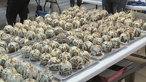 Candy Apples for the Siouxland Humane Society