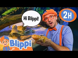 Blippi Meets Reptile Friends in the Jungle! | Blippi | NEW Superhero Cartoon for Kids | Moonbug Kids