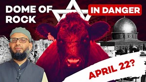 The Truth About the Red Heifers