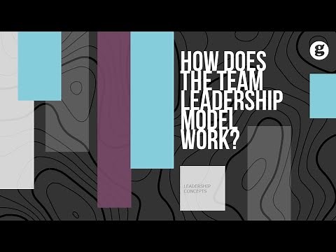 How does the Team Leadership Model Work