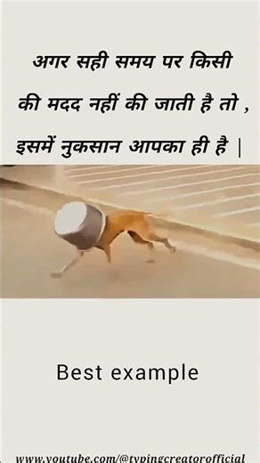 इसमें नुकसान आपका ही है | Best example | #new #dog #motivation #shorts #2026 #trend #new #shortsfeed