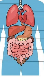 || Exercise for five organs 🔱 || . . . . . . . . #yoga #yogainspiration #reelsinstagram #viral #reels #fit #shiva #trending #trendingreels #instagood #explore | Saurabh Yoga