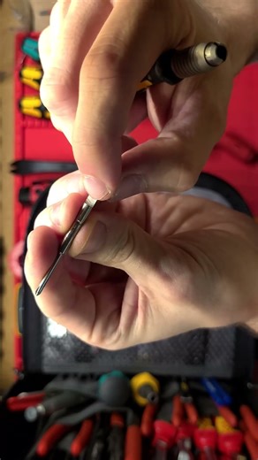 ► Wera Kompakt Screwdrivers ESD in my VETO toolbag! #tools #youtubeshorts #diy #tools #toolbox