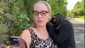156K views · 10K reactions | SCUBADIVING WITH A BABY CHIMPANZEE | Myrtle Beach Safari Wild Encounters Tour | Facebook
