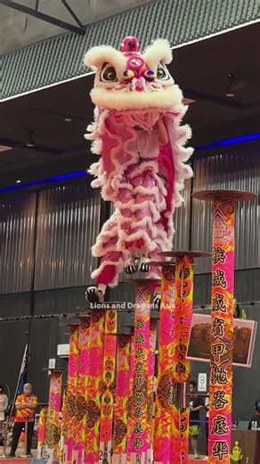 Lion Dance - 澳洲伟康龙狮体育会 14th Penang International High Pole Lion Dance Invitational Competition