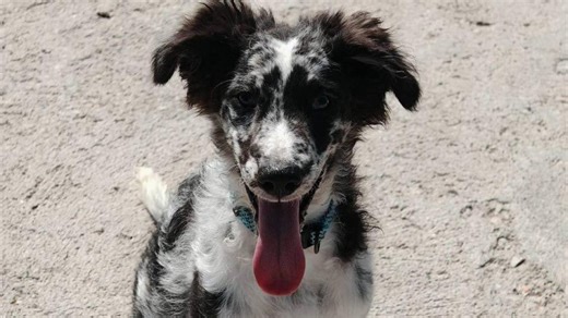 HHS Allocates Over $1.5 Billion to Combat Opioid Crisis through State and Tribal Grants – Archyde