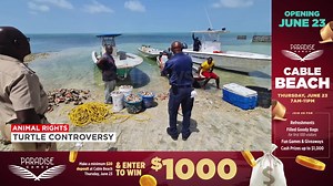 11K views · 74 reactions | Turtle Controversy Some disturbing news out of West Grand Bahama now after the capture of what is believed to be a loggerhead turtle. West End Ecology Tour owner, Keith Cooper, tells Our News a group of tourists reported that a turtle had been captured and tied up behind a local establishment in that community. Here's what Our News can report. #ournews_jun21 | Our News Bahamas | Facebook