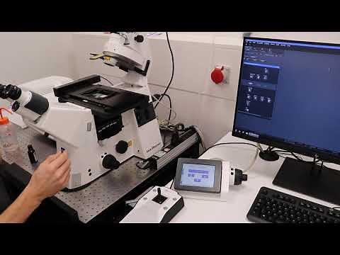 Bioimaging - Laser Scanning Confocal Microscope (LSM800)