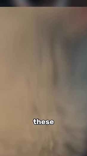 6.1K views · 68 reactions | The three Stories of Demonically Possessed Animals #lifestyle #facts #wildanimals #about #animals #nature #wildlife | Most strange animals | Facebook