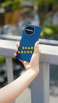 この美しい背面、結構アリじゃない？🦖｜AQUOS R11
