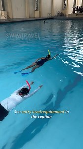 Take your swimming skills to the next level! Our Intermediate Program for adults focuses on improving technique, speed, and stroke efficiency—perfect for fitness or competition. 🏊🏼 Rate: P3,500 for 7 sessions (1 hour each) • Includes instruction on bi-lateral freestyle, breaststroke, and backstroke. 🗺 Locations and Schedules: • Damar Village, QC • The City Club, Makati https://swimtravelph.com/venuesandschedules/ ‼️ To join this program, you need to: 1. Be comfortable in deep water; 2. Know h