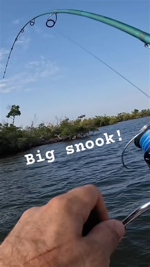 This one will make me go back! (and haunt me 👻) #shorts #fishing #fish #video #fishingvideo