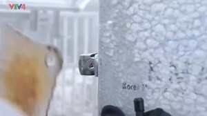 28K views · 3.6K reactions | Anh thanh niên trong tác phẩm " Lặng Lẽ Sa Pa " đây rồi =)))))) | 2009 Confessions | Facebook