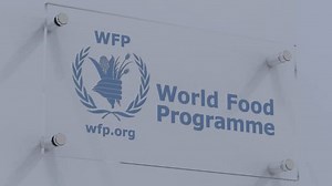 World Food Programme Wfp Distorted Flag: vídeo stock (100% livre de direitos) 1110386113 | Shutterstock