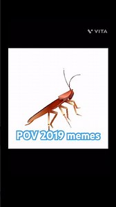 Spinning cockroach to HD remaster