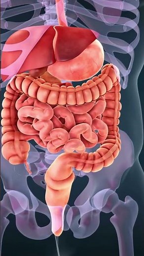 Discover the Healing Power of Dandelion Tea | Natural Detox & Immunity Boost