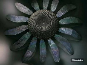 THX - Amazing Life (2007) [Full-screen images]