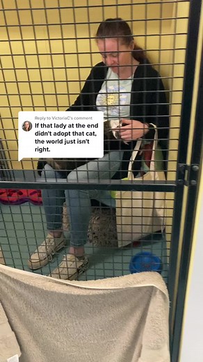 Replying to @VictoriaC UPDATE on lovely Luna… this one was a tear jerker 💙 #adoptionisthebestoption #adoptdontshop #adoptacat #rescuecat #animalshelter #sheltercat #catsoftiktok #animalrescue #foreverhome #adoption #catadoption #adoptionjourney #melbourne