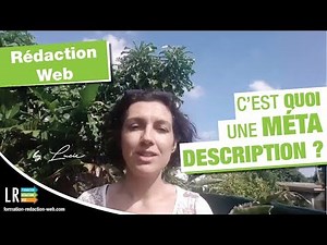 What is a meta description? (21/100)