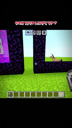 Can This Light Up? | Minecraft Short