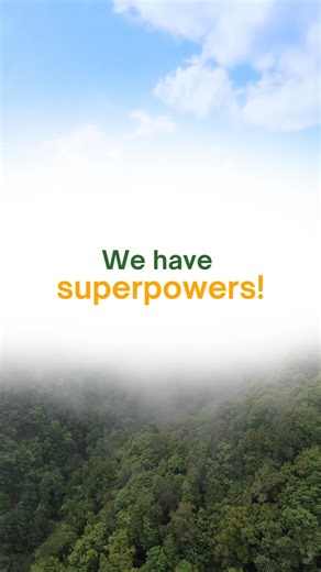 2.5K views · 26 reactions | Time for #TuesdayTREEvia!  Is there a...