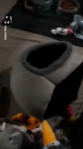 Us, most mornings, battling with our duvets 😂 | Metro