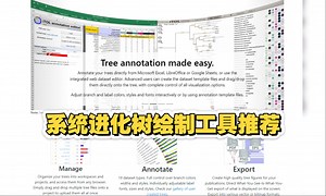 生物学发育进化树可视化和美化工具
