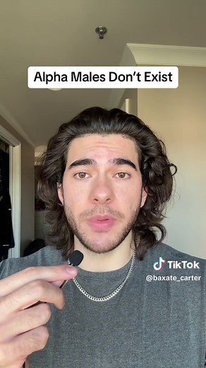 Alpha Males Don’t Exist