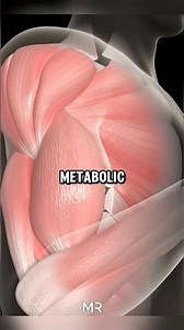 Muscle Hypertrophy Explained (What Triggers Muscle Growth)